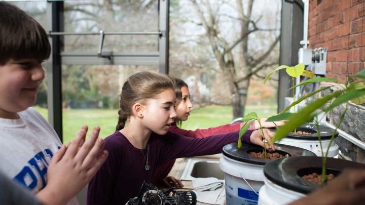 Comment encadrer la journée de votre enfant à la maison?